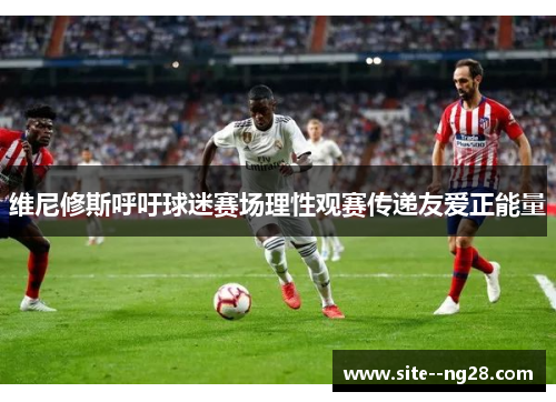 维尼修斯呼吁球迷赛场理性观赛传递友爱正能量